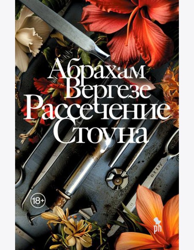 Рассечение Стоуна: роман