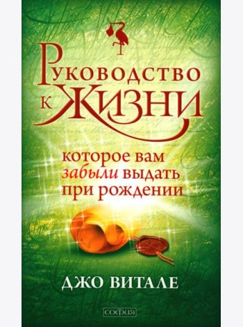 Руководство к жизни, которое вам забыли выдать при рождении (обл.)