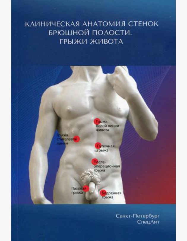 Клиническая анатомия стенок брюшной полости. Грыжи живота