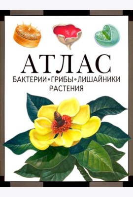 Бактерии, грибы, лишайники, растения: атлас. 4-е изд