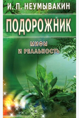 Подорожник. Мифы и реальность