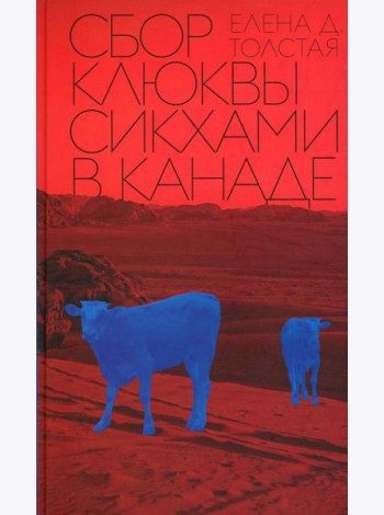 Сбор клюквы сикхами в Канаде