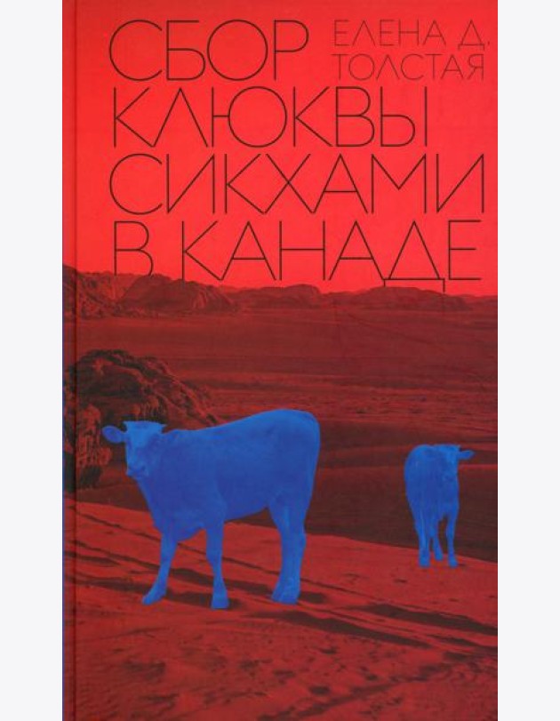 Сбор клюквы сикхами в Канаде
