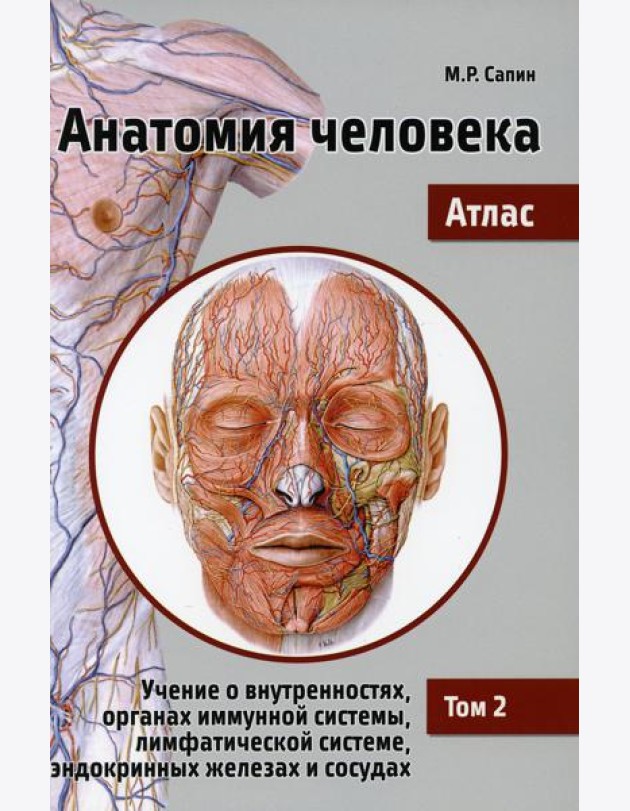 Анатомия человека. Атлас. Учебное пособие в 3-х томах. Том 2