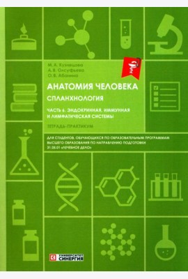Анатомия человека: Спланхнология Ч. 6: Эндокринная система, иммунная и лимфатическая системы: Тетрадь-практикум