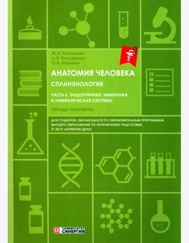 Анатомия человека: Спланхнология Ч. 6: Эндокринная система, иммунная и лимфатическая системы: Тетрадь-практикум