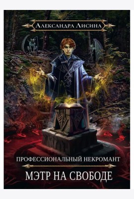 Профессиональный некромант-2. Мэтр на свободе