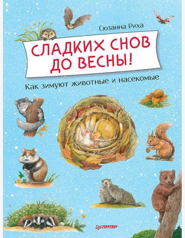 Сладких снов до весны! Как зимуют животные и насекомые