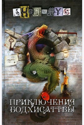 Приключения бодхисаттвы: роман