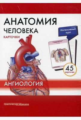 Анатомия человека: Карточки. (45шт). Ангиология