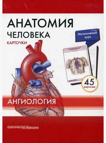 Анатомия человека: Карточки. (45шт). Ангиология