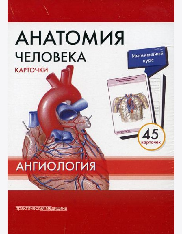Анатомия человека: Карточки. (45шт). Ангиология