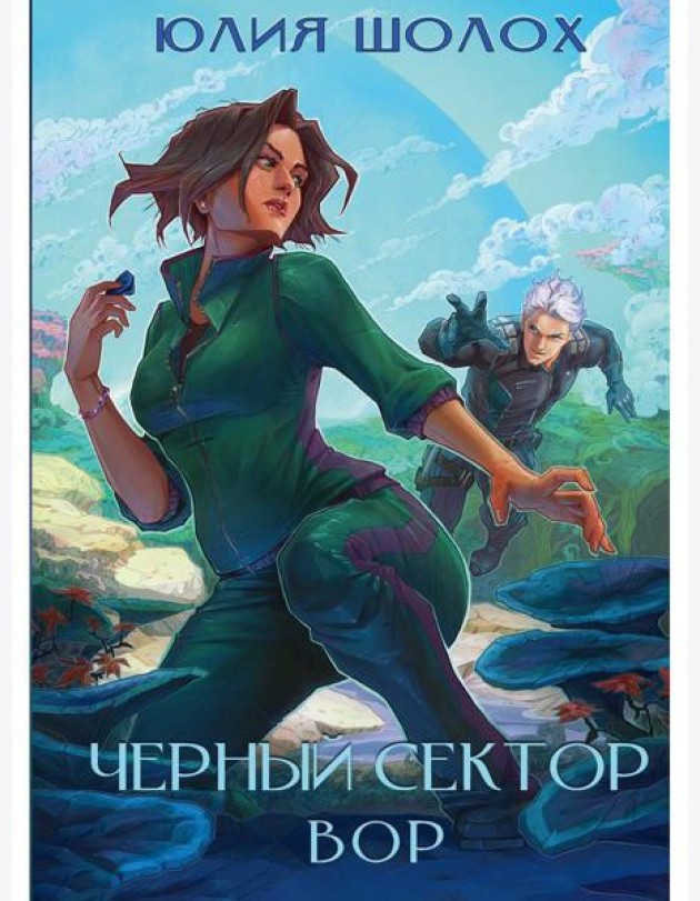 Черный сектор. Вор. Кн. 4