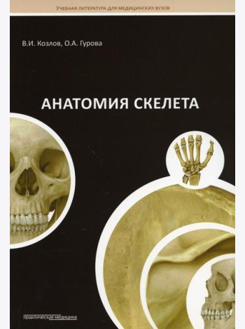 Анатомия скелета: Учебное пособие