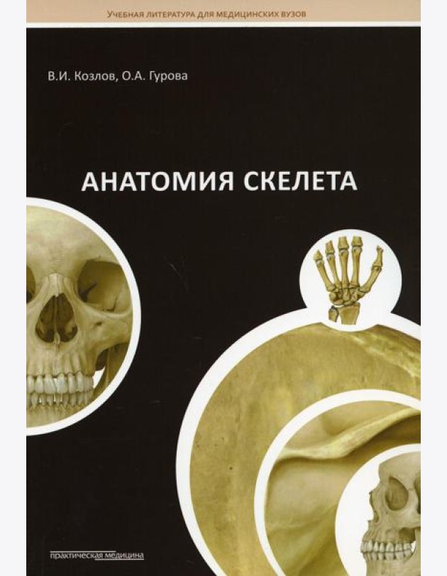 Анатомия скелета: Учебное пособие
