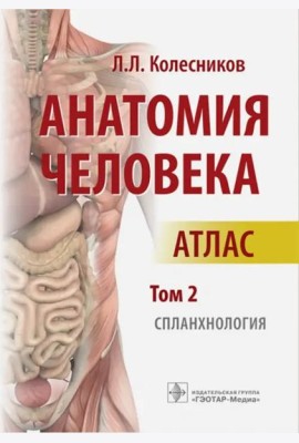 Анатомия человека: атлас: В 3 т. Т. 2. Спланхнология