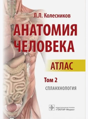 Анатомия человека: атлас: В 3 т. Т. 2. Спланхнология