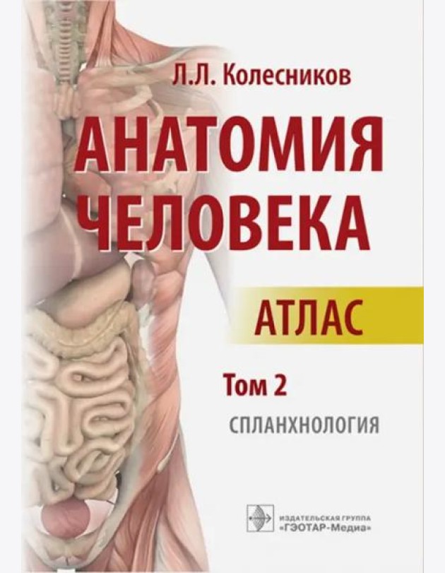 Анатомия человека: атлас: В 3 т. Т. 2. Спланхнология