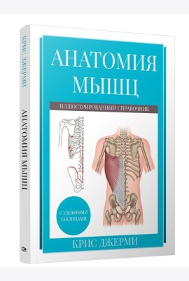 Анатомия мышц: иллюстрированный справочник