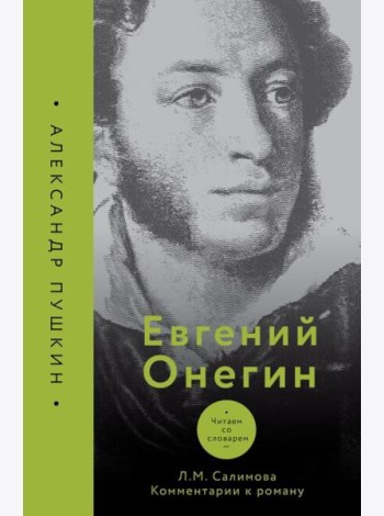 Евгений Онегин. Читаем со словарем. Комментарии к роману
