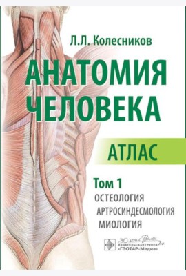 Анатомия человека. Атлас. В 3 т. Т. 1. Остеология, артросиндесмология, миология