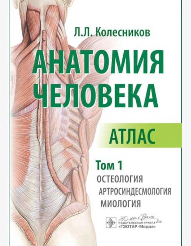 Анатомия человека. Атлас. В 3 т. Т. 1. Остеология, артросиндесмология, миология