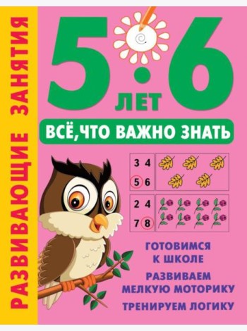Развивающие занятия. Все, что важно знать. 5-6 лет
