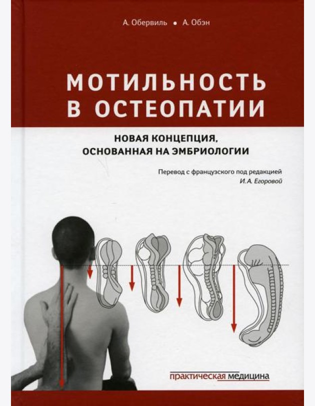 Мотильность в остеопатии. Новая концепция, основанная на эмбриологии