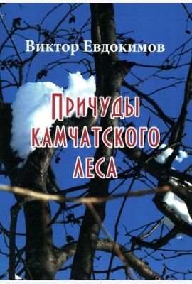 Причуды Камчатского леса