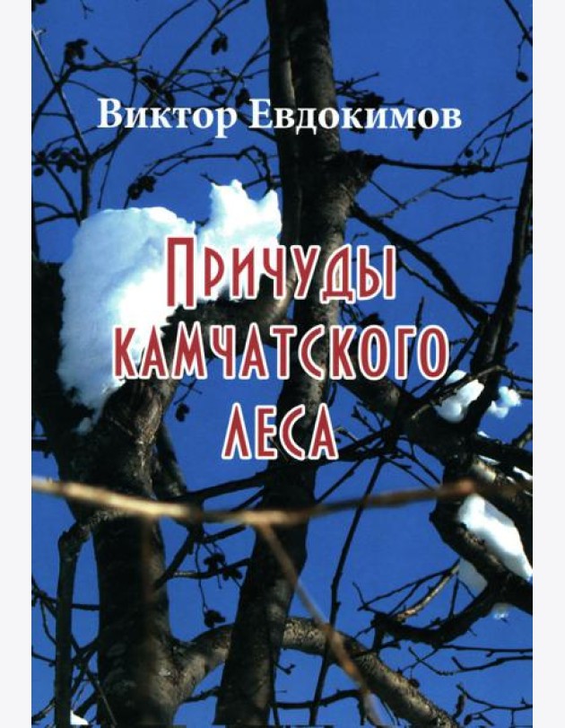Причуды Камчатского леса