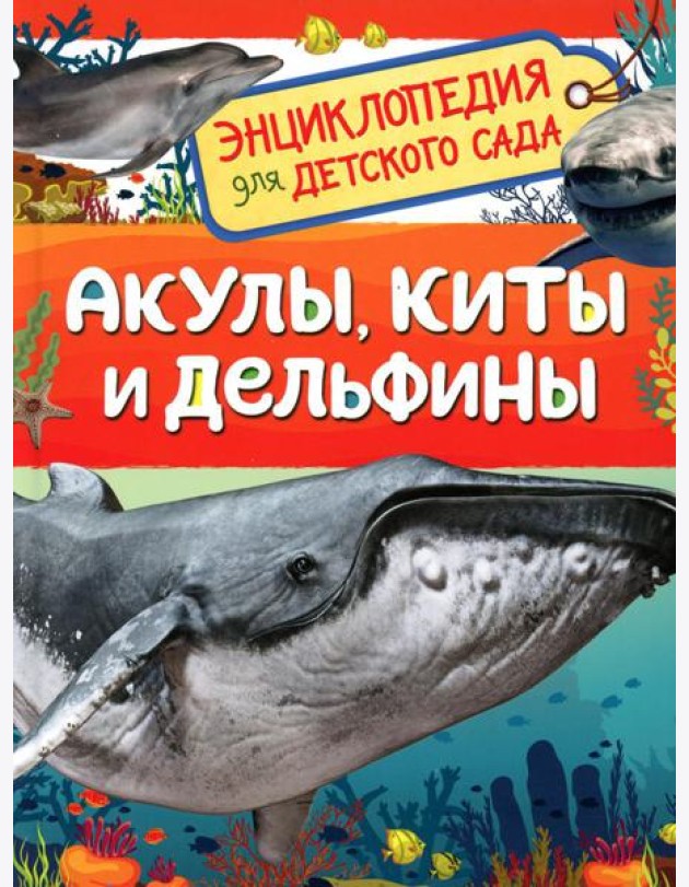 Акулы, киты и дельфины (Энциклопедия для детского сада)