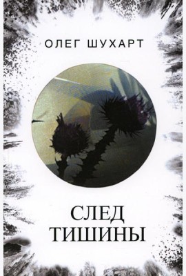След тишины