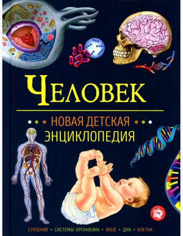 Человек. Новая детская энциклопедия