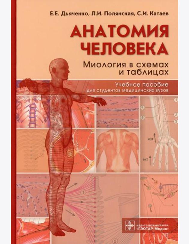 Анатомия человека: миология в схемах и таблицах: Учебное пособие