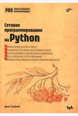Сетевое программирование на Python