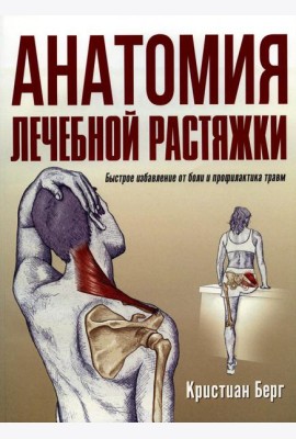 Анатомия лечебной растяжки: быстрое избавление от боли и профилактика травм