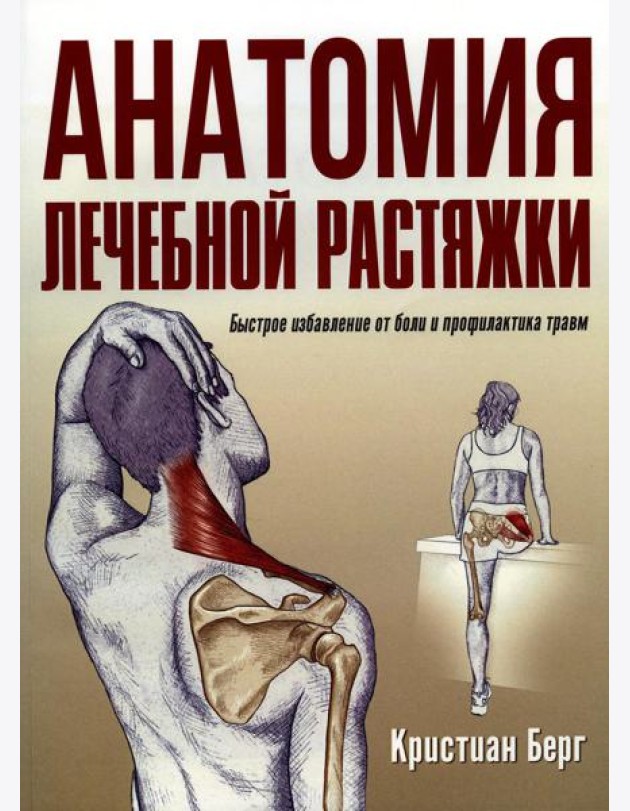 Анатомия лечебной растяжки: быстрое избавление от боли и профилактика травм