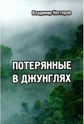 Потерянные в джунглях: приключенческий роман