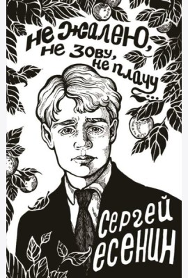 Не жалею, не зову, не плачу...