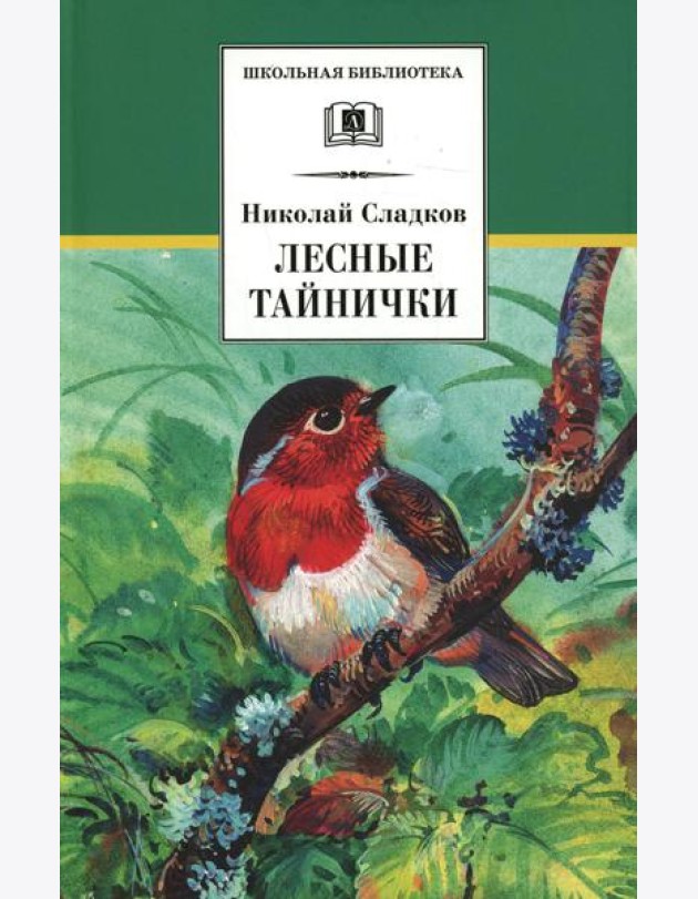 Лесные тайнички: рассказы и сказки