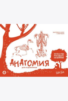 Анатомия для художников
