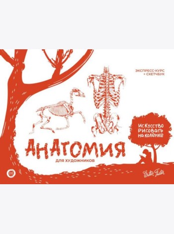 Анатомия для художников