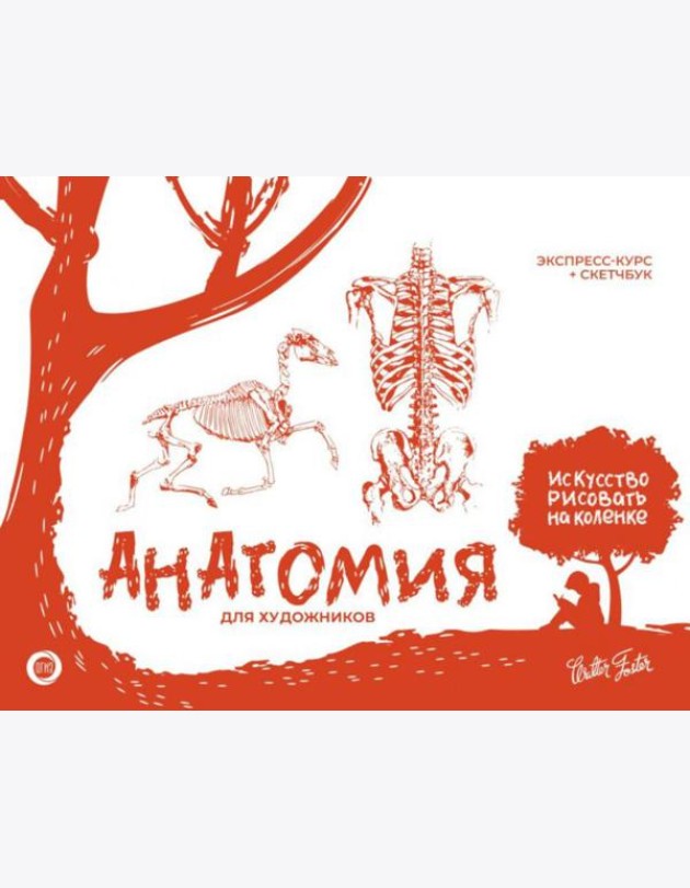 Анатомия для художников