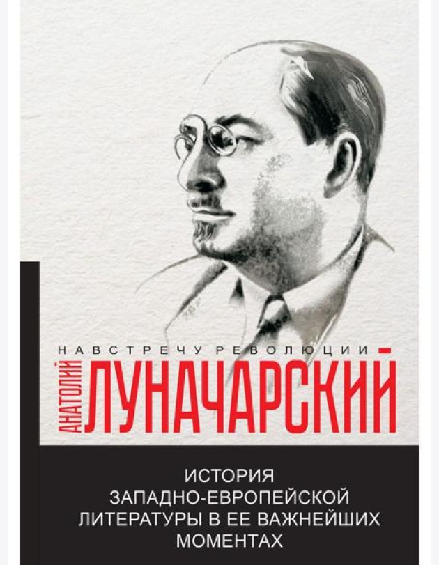 История западно-европейской литературы в ее важнейших моментах