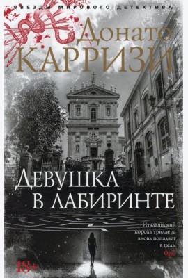 Девушка в лабиринте: роман (обл.)