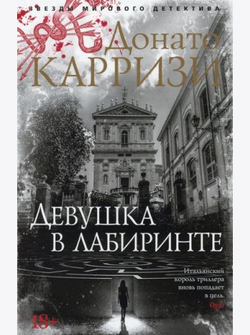 Девушка в лабиринте: роман (обл.)