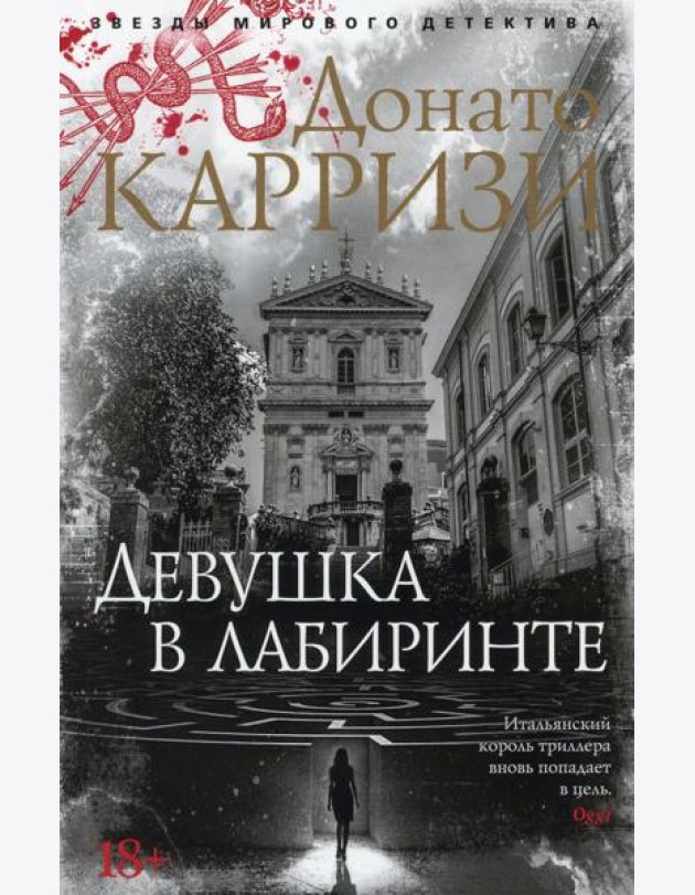 Девушка в лабиринте: роман (обл.)