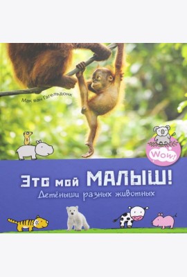 Это мой малыш! Детеныши разных животных