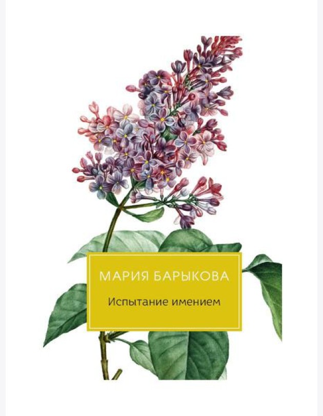 Испытание имением