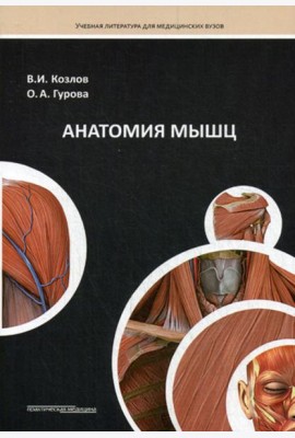 Анатомия мышц: Учебное пособие